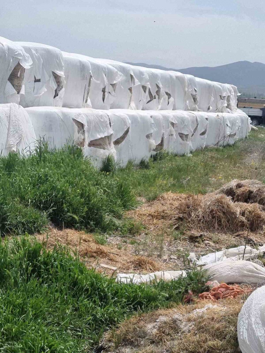 Niğde’de Silaj Paketleri Kimliği Belirsiz Kişi Veya Kişilerce Kesildi