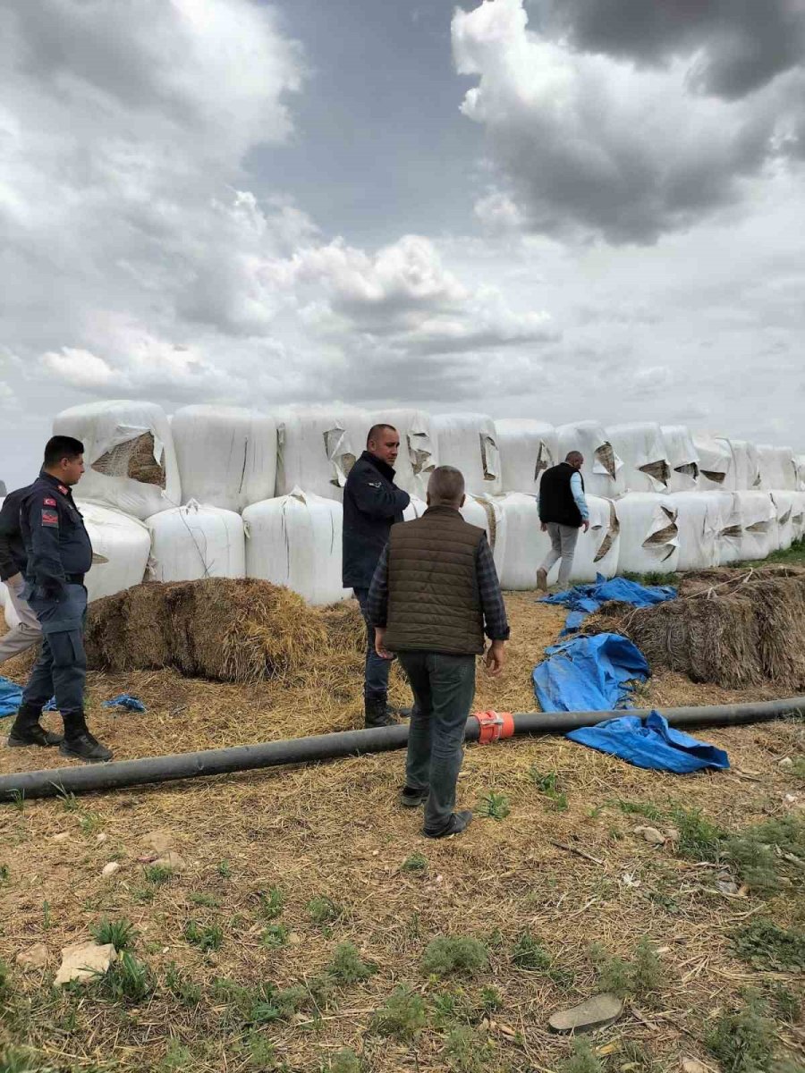 Niğde’de Silaj Paketleri Kimliği Belirsiz Kişi Veya Kişilerce Kesildi