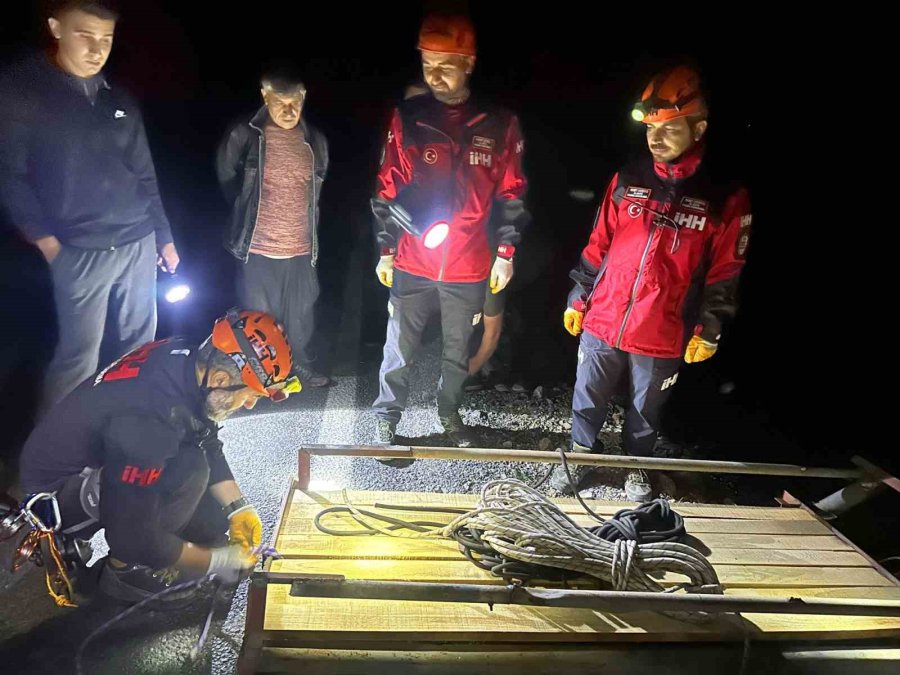 Alanya’da Kamyondan Düşen Dana 400 Metrelik Uçurumdan Kurtarıldı