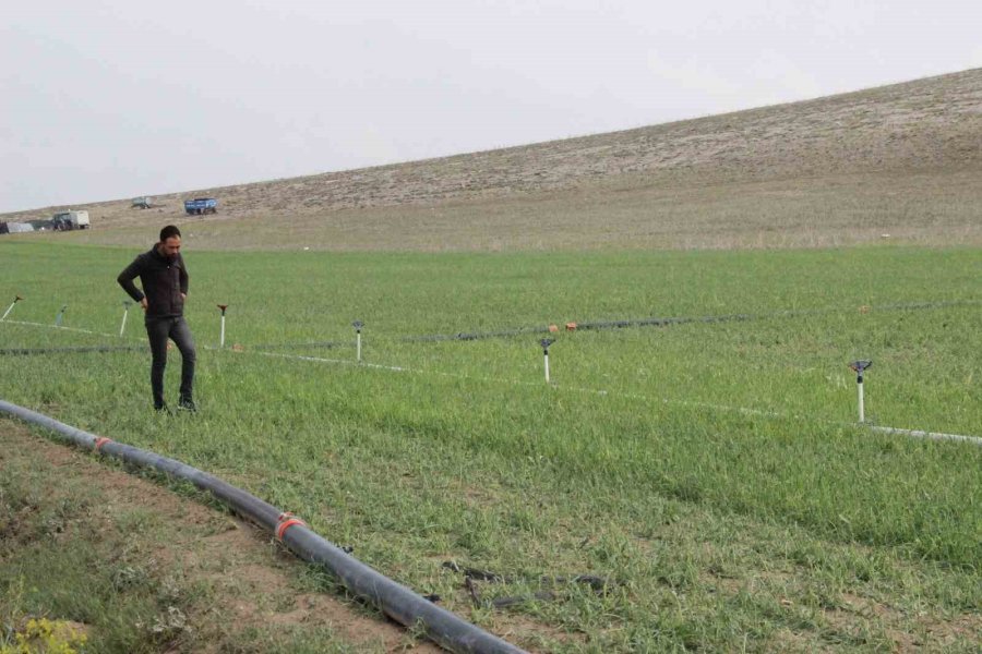 Karaman’da Aniden Yağan Dolu Ekili Arazilerde Zarara Yol Açtı
