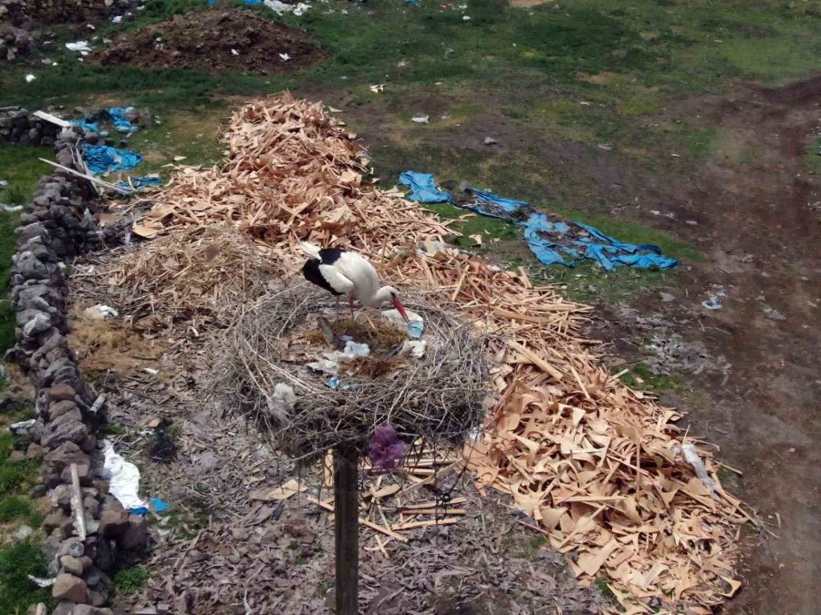 "leylekli Köy" Misafirlerini Ağırlamaya Başladı