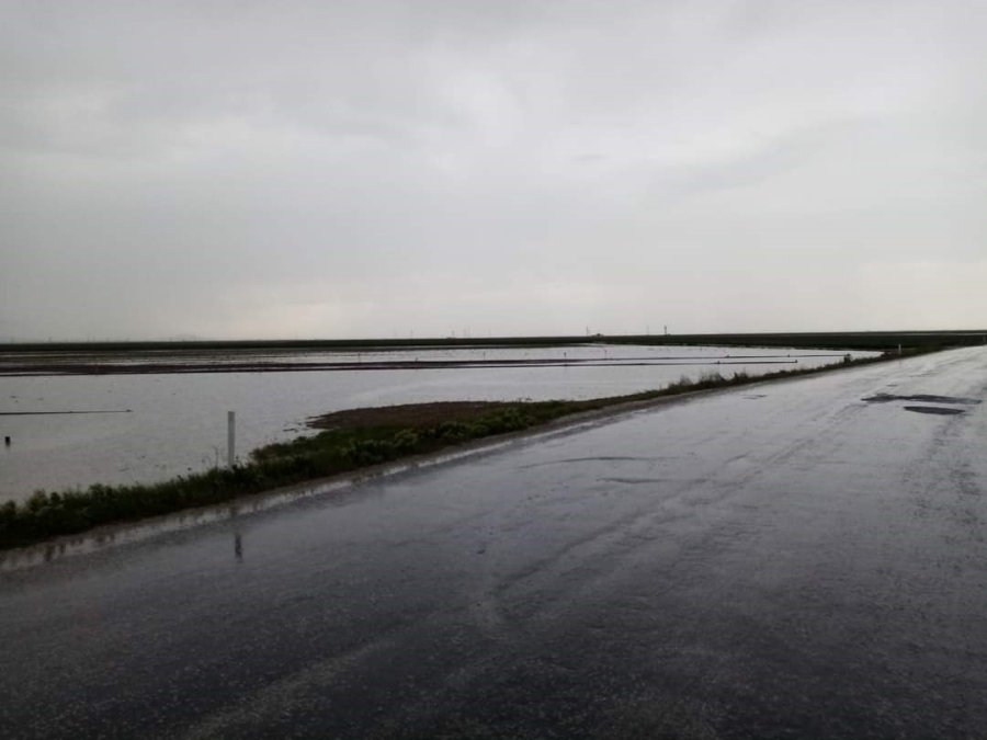Şiddetli Yağışlar Ekili Arazileri Sular Altında Bıraktı
