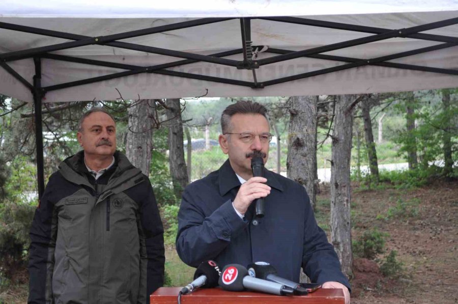 Eskişehir’de "orman Benim" Etkinliğinde, Yangınlara Neden Olabilecek Malzemeler Toplandı