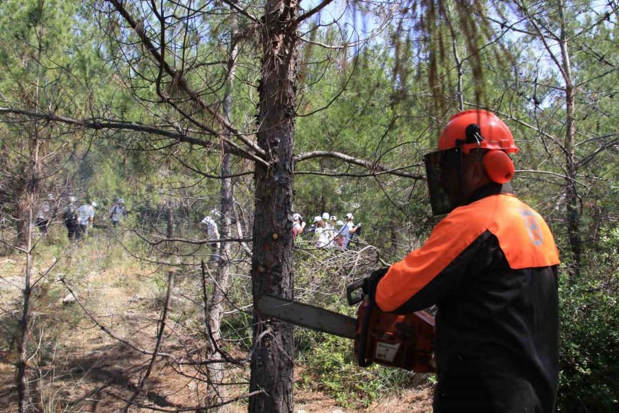 Öğrenciler Ormanlık Alanda Temizlik Yaptı
