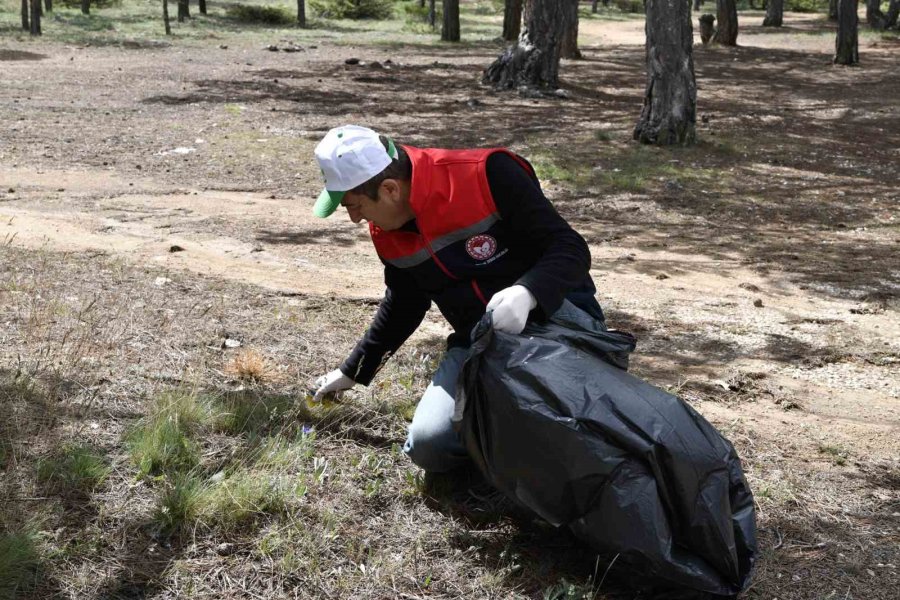 Karaman’da ’orman Benim’ Etkinliği Düzenlendi