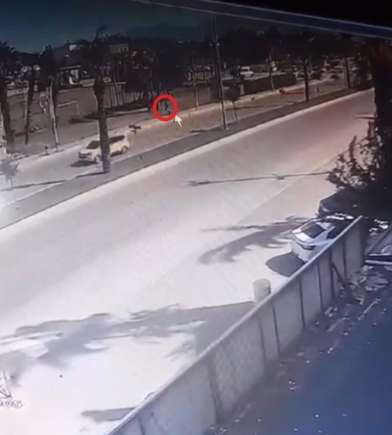 Köpeklerden Kaçarken Otomobilin Çarptığı Genç Canından Oluyordu