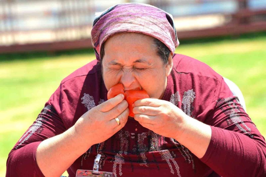 Kadınlar Domates Kasası Yarışmasında Erkeklere Taş Çıkarttı