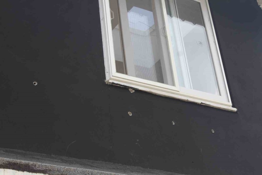 Antalya’da Kedi Köpek Oteline Silahlı Ve Uçan Tekmeli Saldırı