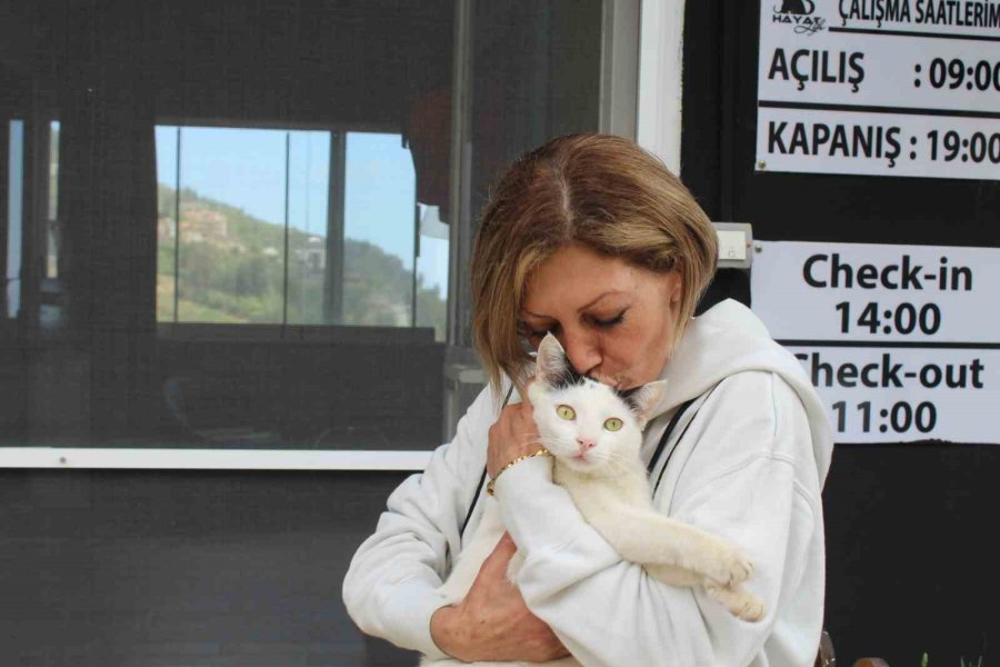 Antalya’da Kedi Köpek Oteline Silahlı Ve Uçan Tekmeli Saldırı