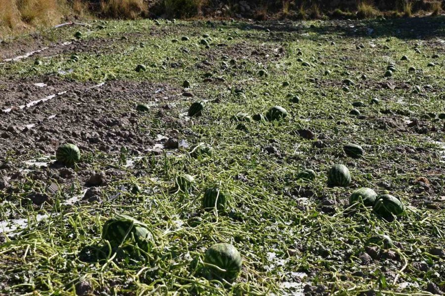 Antalya’da Fırtına Ve Dolu Tarım Alanlarını Vurdu
