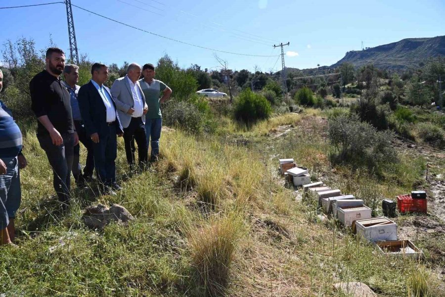 Antalya’da Fırtına Ve Dolu Tarım Alanlarını Vurdu