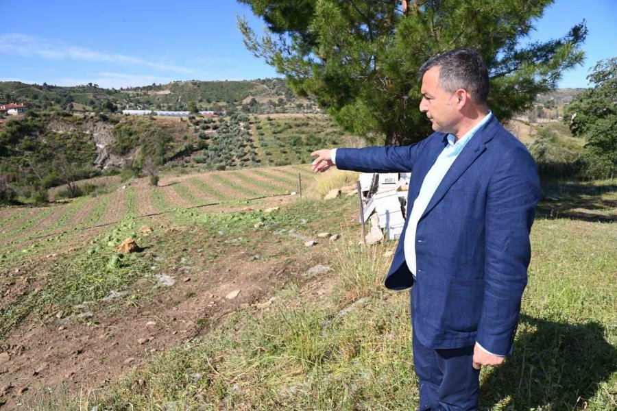 Antalya’da Fırtına Ve Dolu Tarım Alanlarını Vurdu