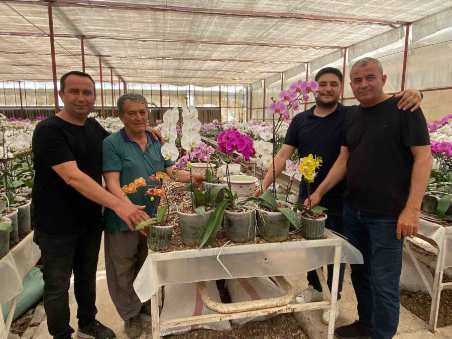 Çiçek Üreticileri Anneler Günü’ne Hazırlanıyor