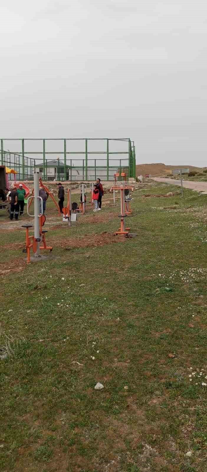 Pınarbaşı’nda Başıboş Köpekler Toplanacak