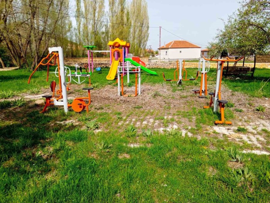 Pınarbaşı’nda Başıboş Köpekler Toplanacak