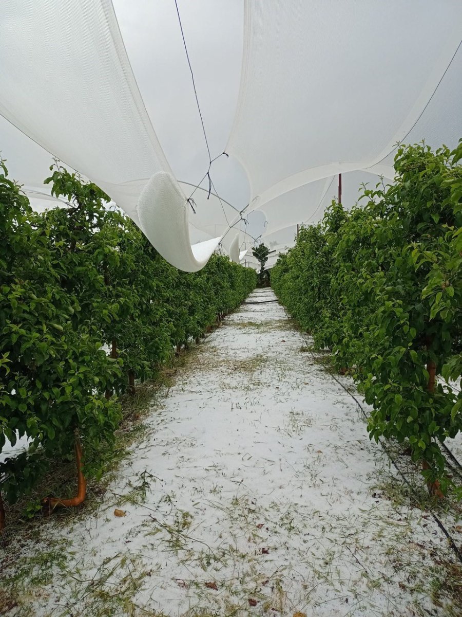 Mersin Erdemli’de Dolu Yağışı Etkili Oldu