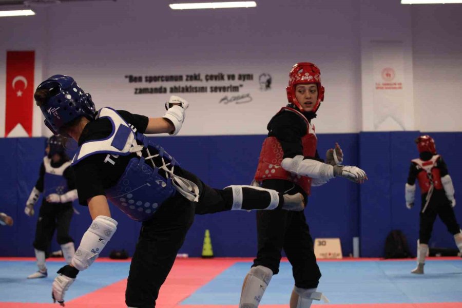 Tekvando Milli Takımı Avrupa Tekvando Şampiyonasında Tüm Madalyalara Talip