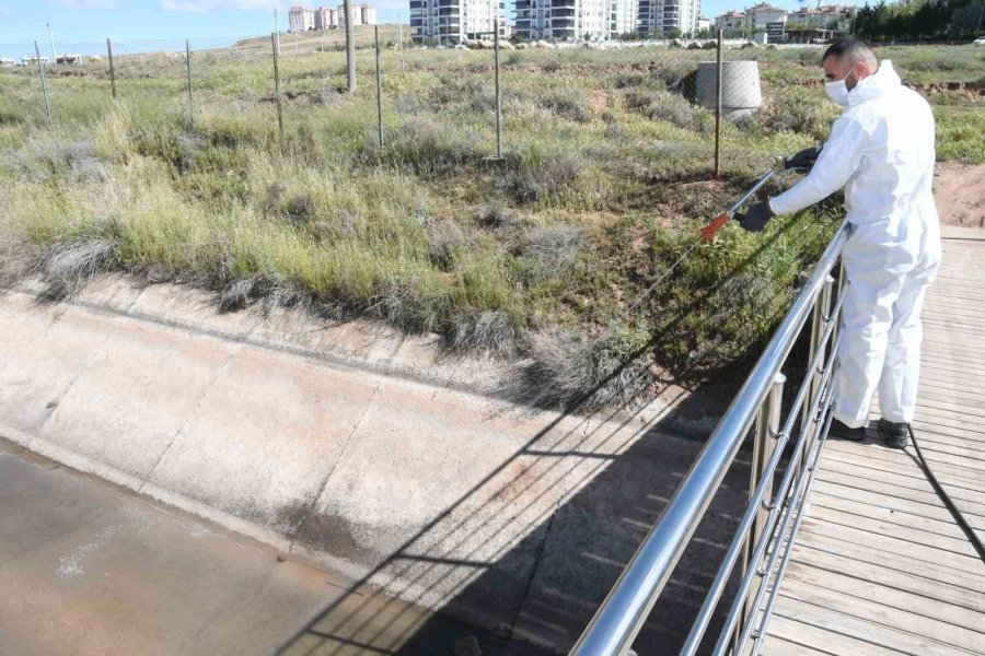 Aksaray Belediyesi Dere Ve Göletlerde Erken Larva Mücadelesi Başlattı