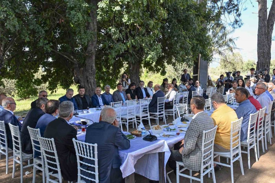 Antalya Valisi’nden ’zeytinpark’ Çağrısı: "yeşil Alan Olarak Mühürleyip Son Kaleyi Kurtaralım"