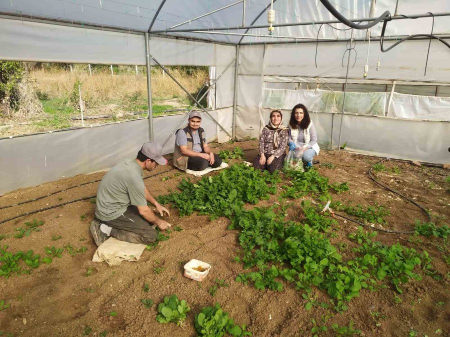 Eskişehir’de Sağlıklı Tarımsal Üretim Çalışmaları Devam Ediyor