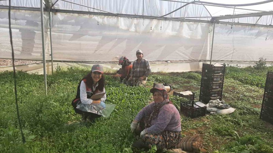 Eskişehir’de Sağlıklı Tarımsal Üretim Çalışmaları Devam Ediyor