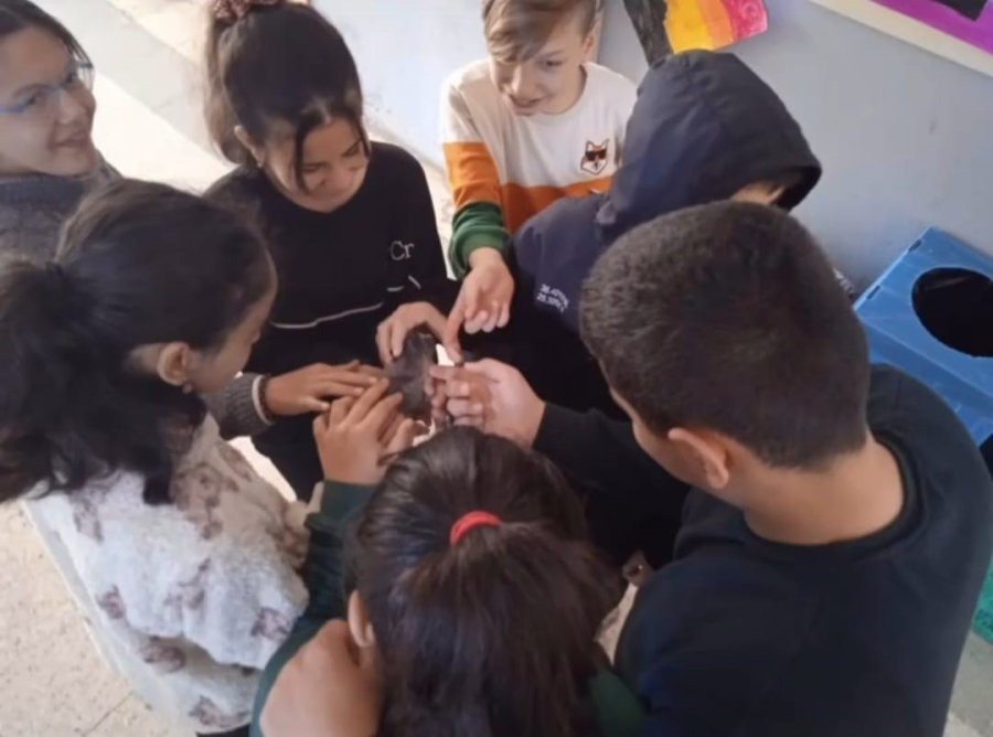 Özel Öğrencilerden Dikkat Çeken Etkinlik