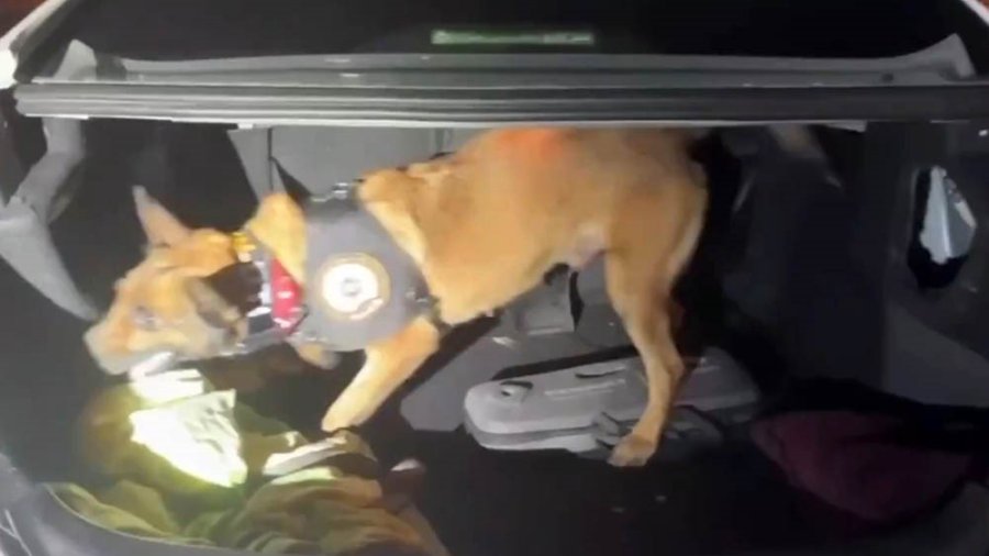 Athena’nın Didik Didik Aradığı Araçtan Uyuşturucu Çıktı