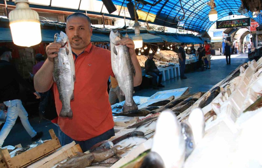 Balıkçılar ‘vatandaş Uygun Fiyata Balık Yesin’ Diyerek İhracata Kısıtlama İstedi