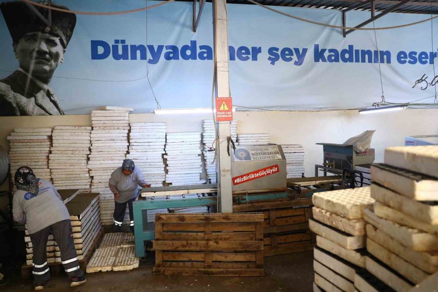 Antalya’da 2 Milyon Yazlık Çiçek Toprakla Buluşuyor