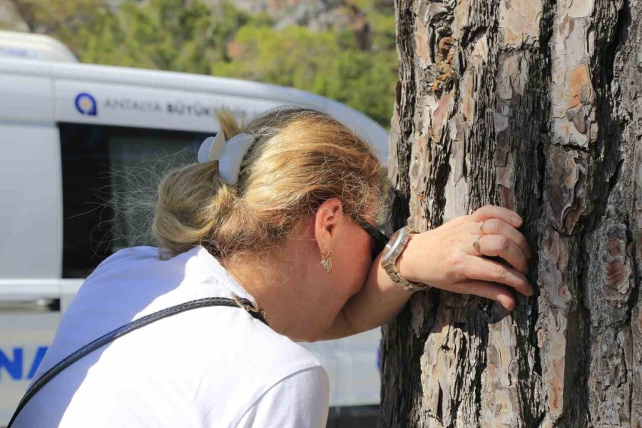 Okul Müdürü Motosikletiyle Eve Dönüş Yolunda Hayatını Kaybetti