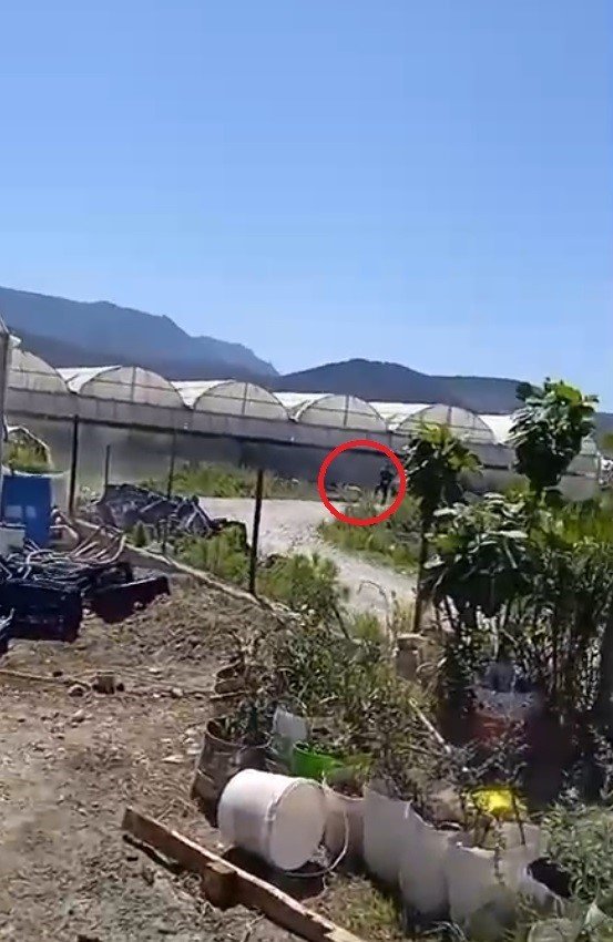 Köpeğine Zarar Veren Adamı Otomobile Bağlayıp 150 Metre Sürükledi