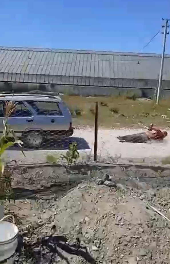 Köpeğine Zarar Veren Adamı Otomobile Bağlayıp Sürükleyen Kişi Serbest Bırakıldı