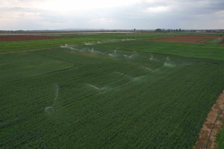 Derin Obrukların Oluşması Yerleşim Alanları İçin Ciddi Tehdit