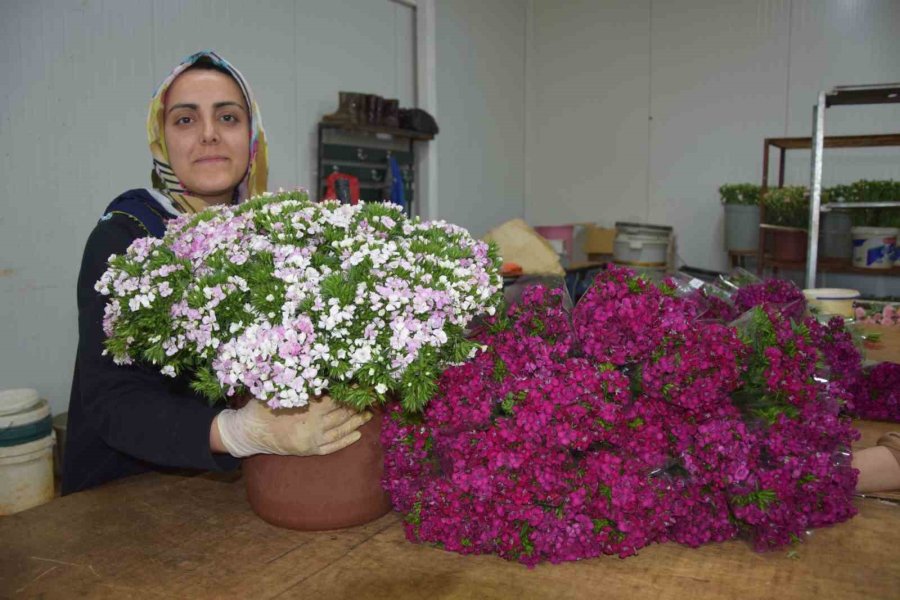 100 Bin Anne İçin 100 Bin Demet Çiçek Hazır