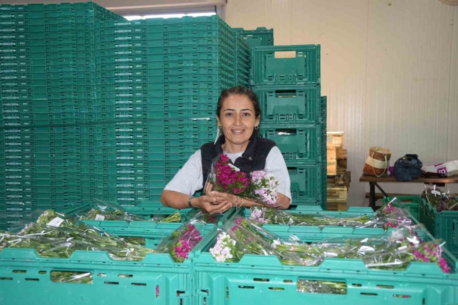 100 Bin Anne İçin 100 Bin Demet Çiçek Hazır