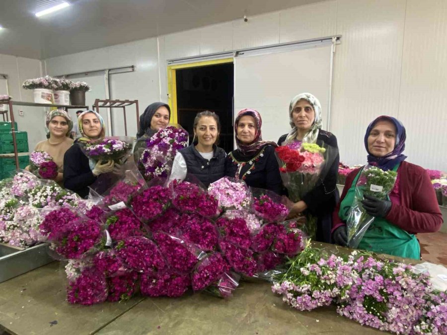 100 Bin Anne İçin 100 Bin Demet Çiçek Hazır