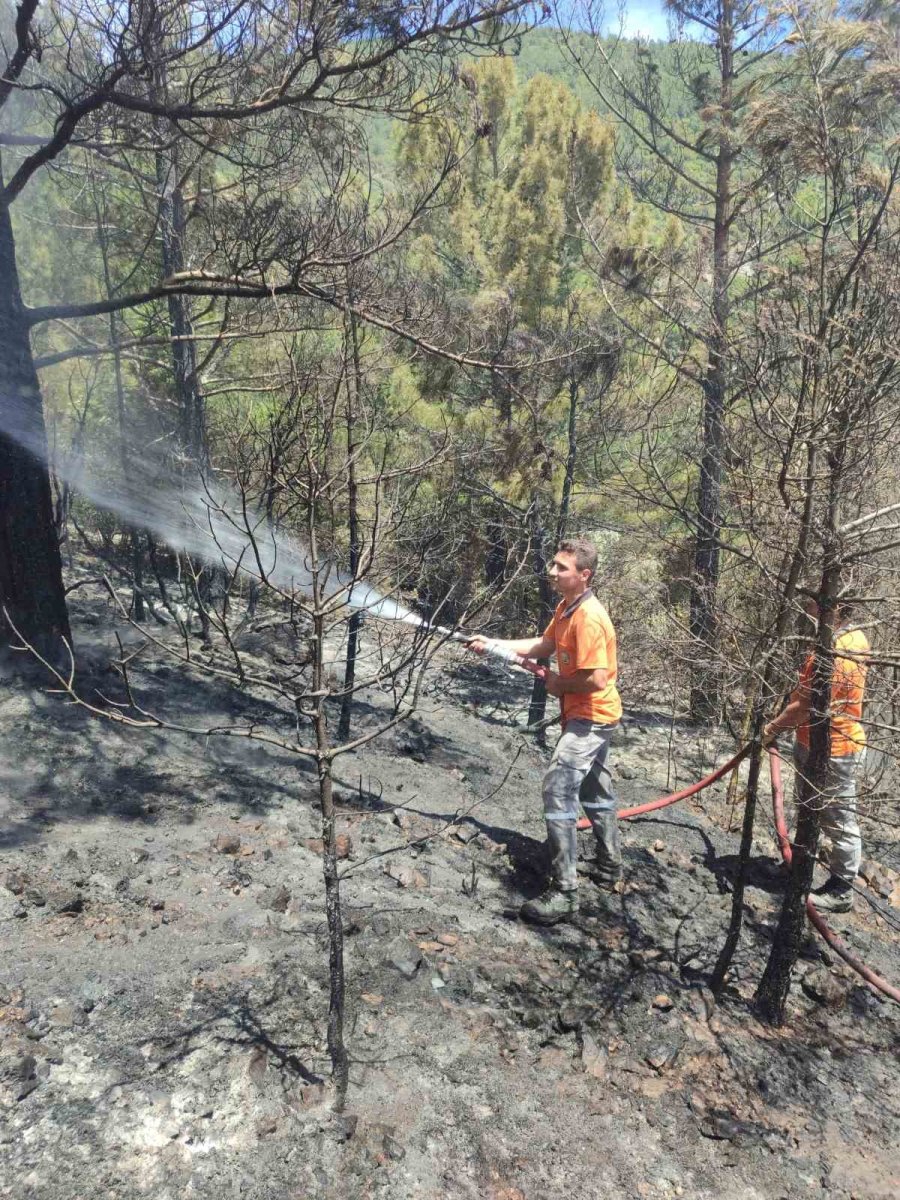 Gazipaşa’da Çıkan Orman Yangınında 1 Dönüm Alan Zarar Gördü