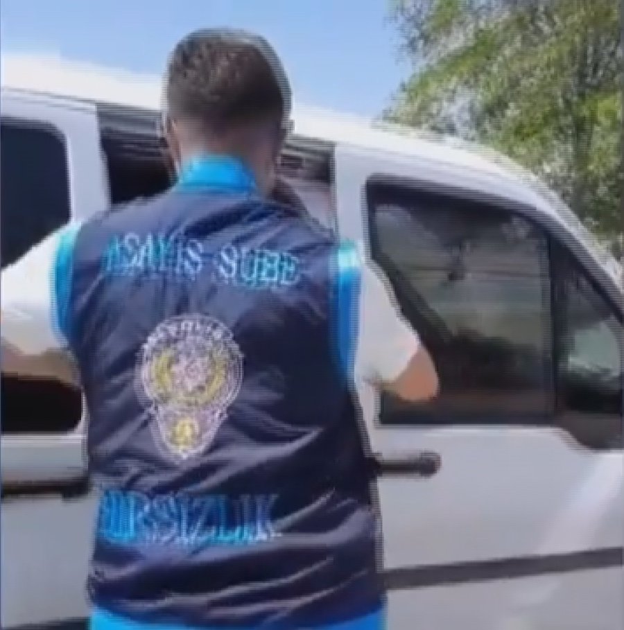 Ev Fareleri 81 Saatlik Kamera Kaydı İle Yakalandı