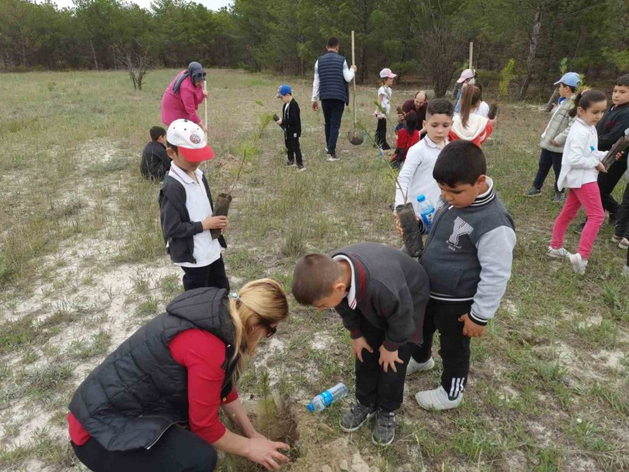 Karapınar’da İlkokul Öğrencileri Fidan Dikti