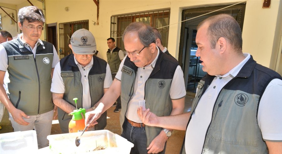 Mersin’de Orman Zararlılarıyla Biyolojik Mücadele Sürüyor