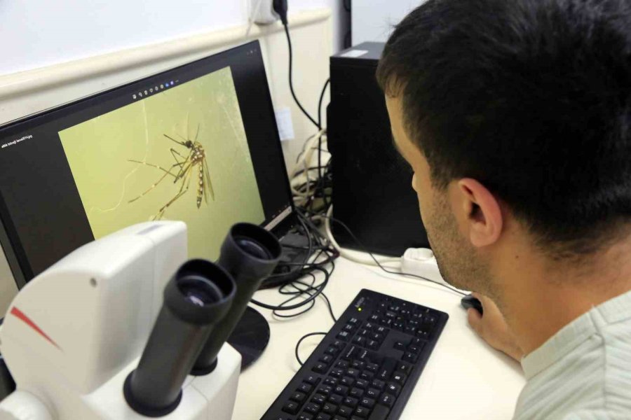 Böcek Profesöründen Sisleme İlaçlamayla İlgili Ezber Bozan Açıklama
