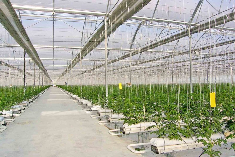 Kırsal Kalkınma Yatırımları Hibe Programından Eskişehir’e Aslan Payı Bekleniyor