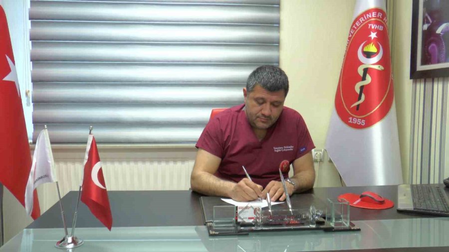 Yılanlardan Korunmanın En Etkili Yolu: Temizlik