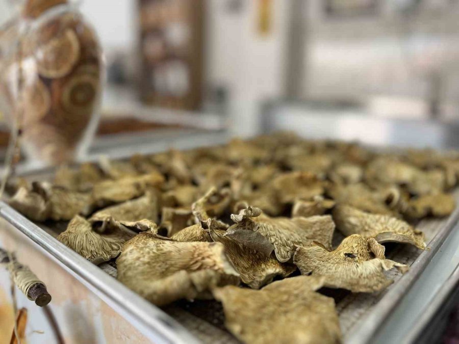 Tarsus Belediyesi Kurutma Ve Paketleme Tesisi İle Tarımcılığa Deste Oluyor