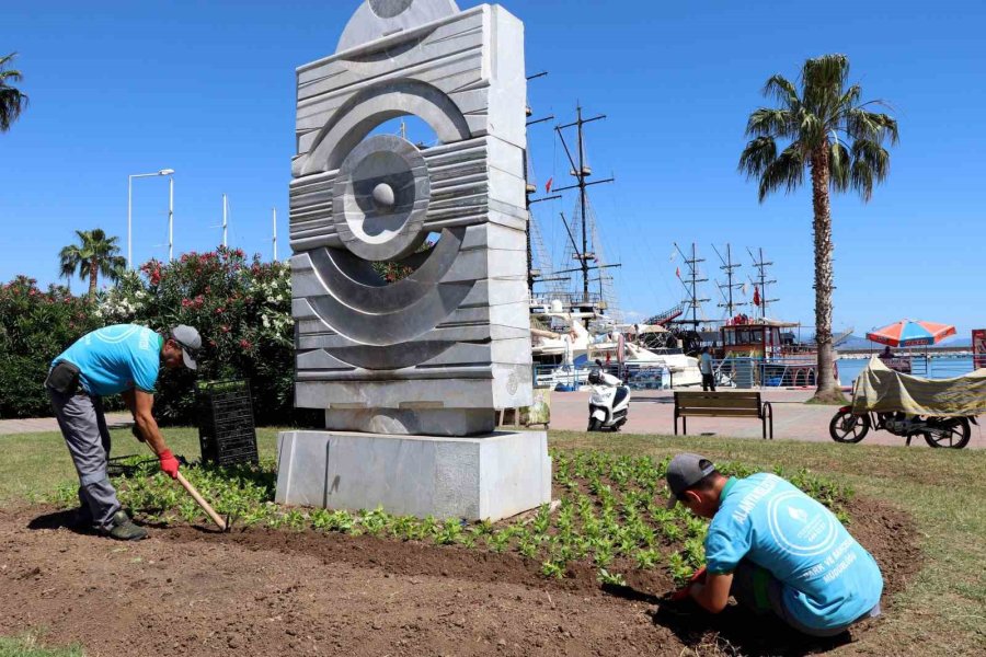 Alanya’da 571 Bin 250 Adet Mevsimlik Çiçek Toprakla Buluştu
