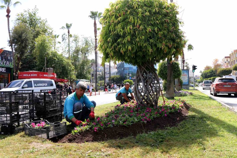 Alanya’da 571 Bin 250 Adet Mevsimlik Çiçek Toprakla Buluştu