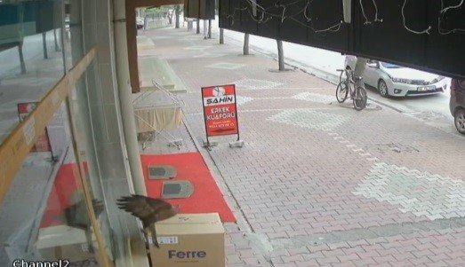 Bu Sefer Kontrolden Çıkan Araç Değil, Kuş Oldu