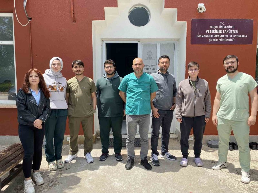 Veteriner Adayları Üniversitenin Çiftliğinde Eğitim Görüyor