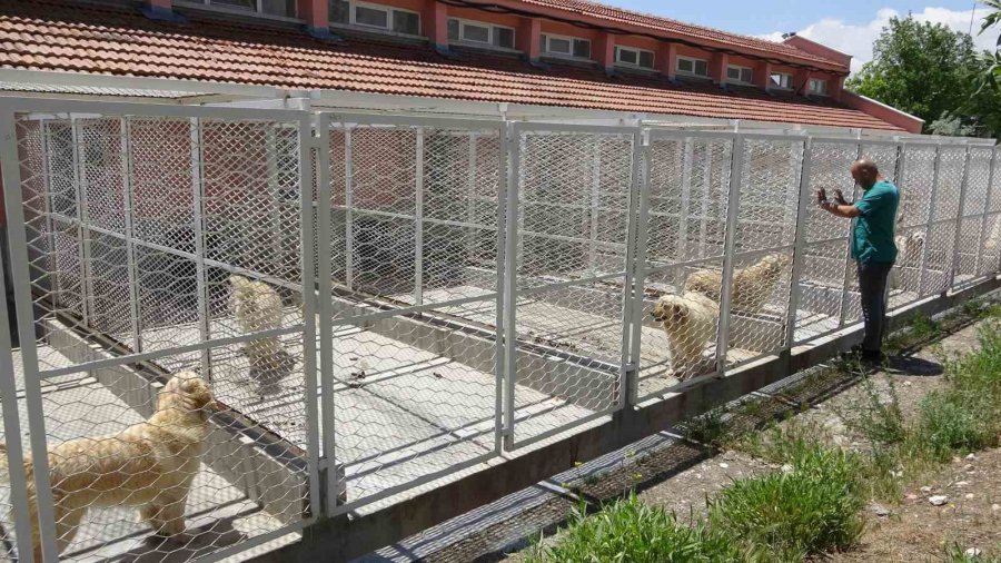 Veteriner Adayları Üniversitenin Çiftliğinde Eğitim Görüyor