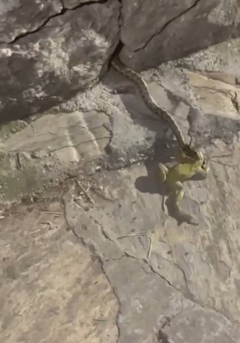 Anne Terliğiyle Yılanı Ekmeğinden Ettiler, O Anları Anlattılar